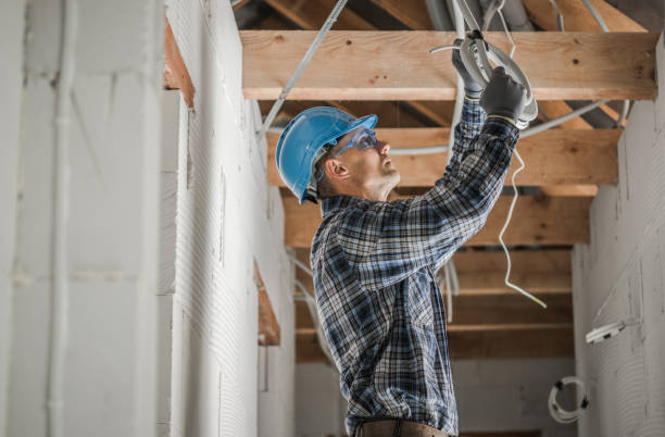 Best Residential Electrician Services  in Litchfield, IL